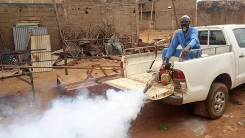 Épidémie de dengue au Mali : symptômes et prévention essentiels