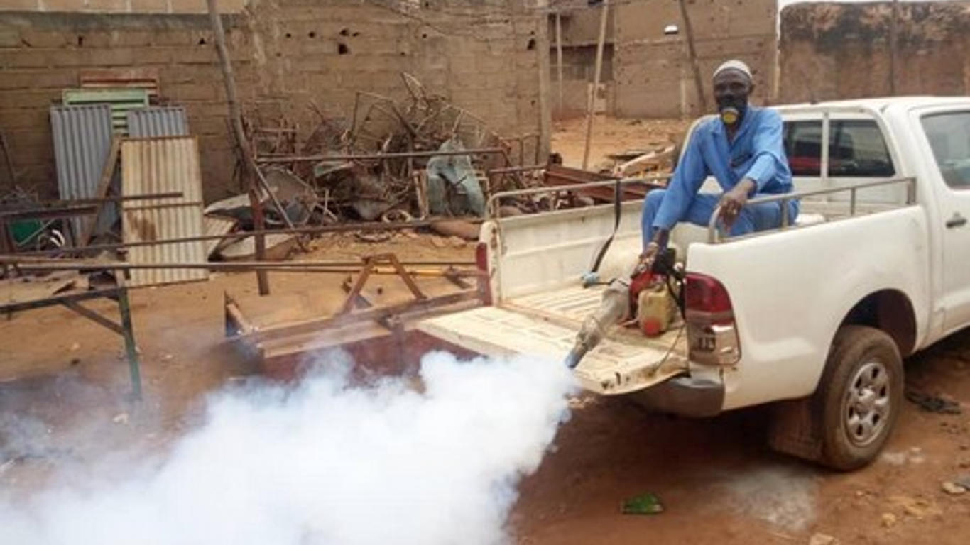 Épidémie de dengue au Mali : symptômes et prévention essentiels