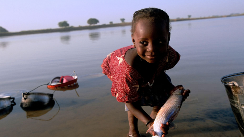 L’OMS valide l’élimination de l’onchocercose au Niger, un succès historique