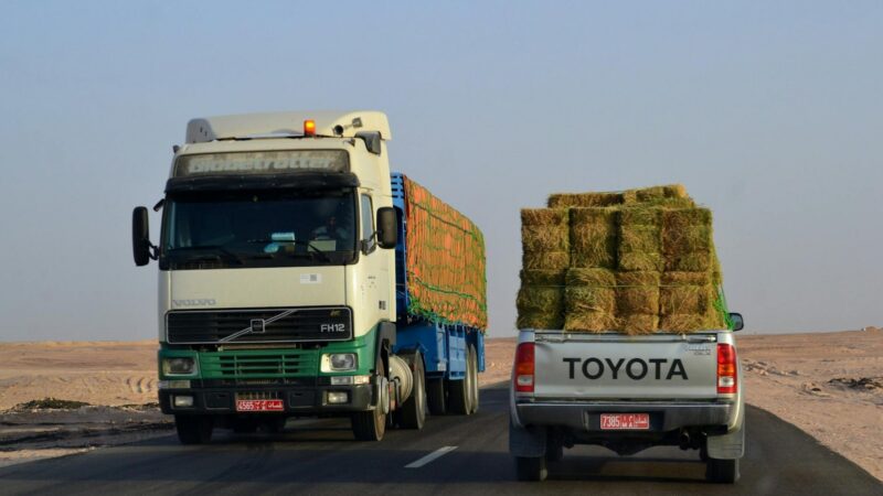 Modernisation des corridors logistiques Cameroun Tchad rc