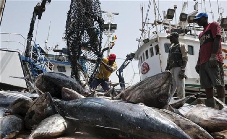 Sénégal : quatre nouvelles licences de pêche pour soutenir le marché local
