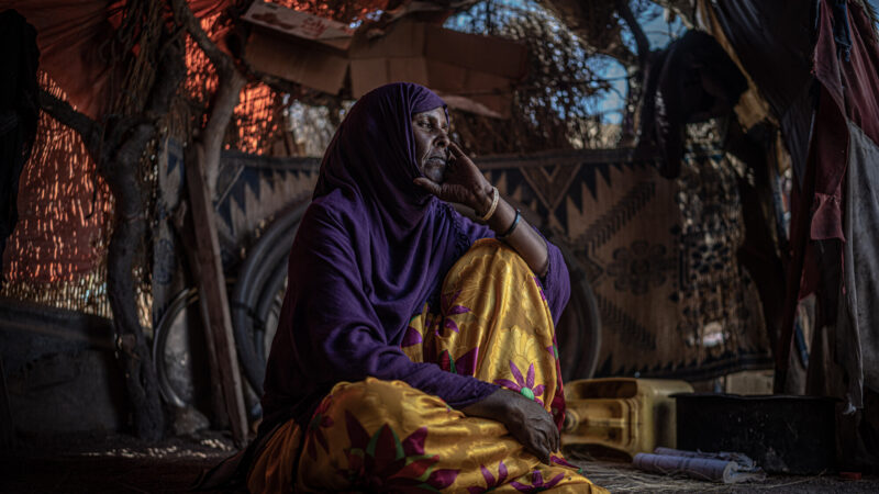 Crise alimentaire en afrique : la corne de l&rsquo;afrique et le Sahel en alerte maximale