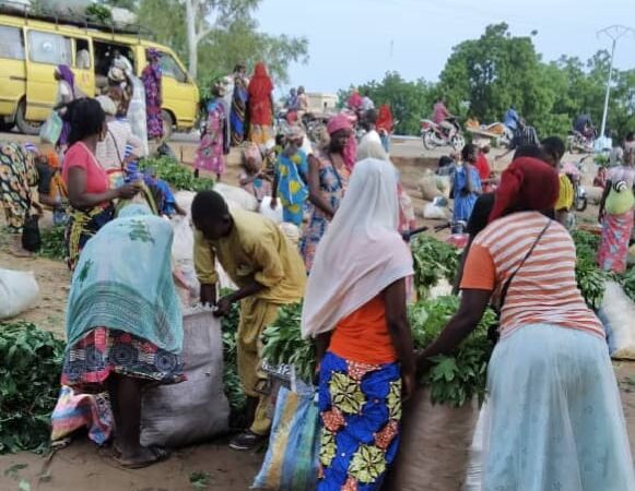 N’djamena face à l’insalubrité urbaine : pauvreté et régulation sociale en question