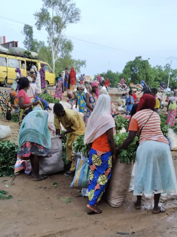 N’djamena face à l’insalubrité urbaine : pauvreté et régulation sociale en question