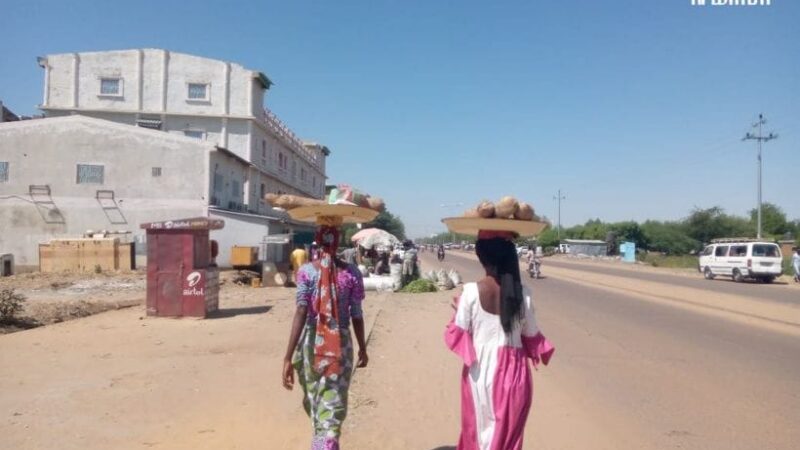 Tchad : l&rsquo;indépendance des marchandes ambulantes et son impact sur les enfants