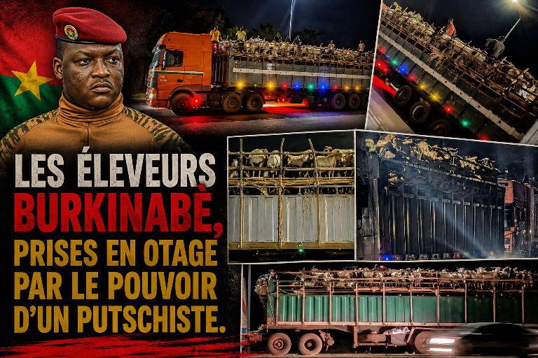 Burkina Faso : la crise du bétail à l&rsquo;heure du Ramadan sous Ibrahim Traoré