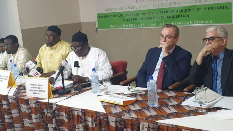Le Tchad renforce sa filière cotonnière avec un soutien français de 22,5 millions de dollars