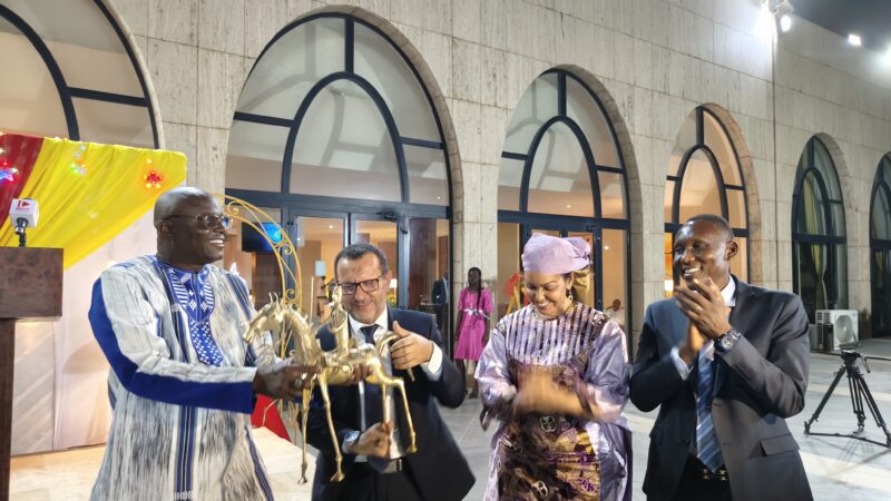 Sonelgaz renforce l&rsquo;énergie du Tchad avec un projet clé