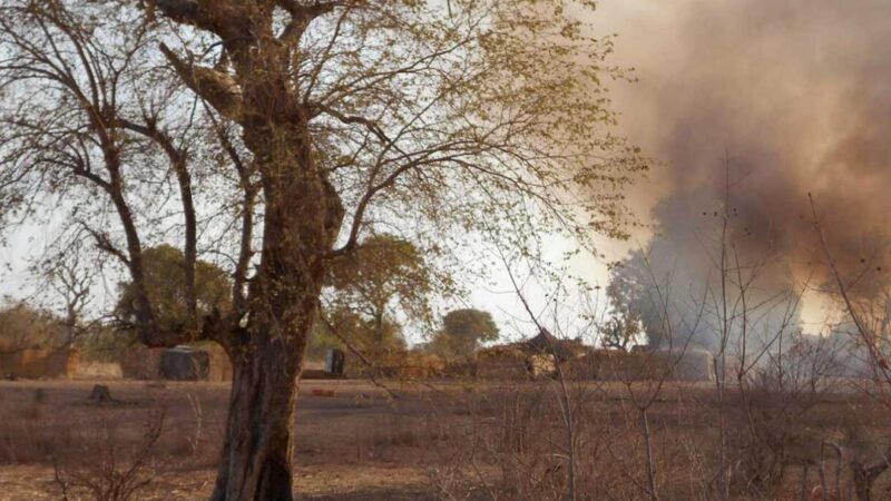 Rivalité sanglante entre Boko Haram et l&rsquo;État islamique pour la forêt de Sambisa