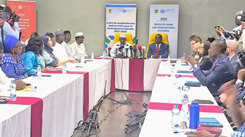 Coopération Tchad ONU : bilan et perspectives pour un développement durable