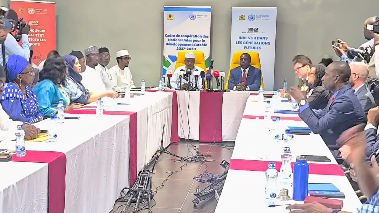 Coopération Tchad ONU : bilan et perspectives pour un développement durable