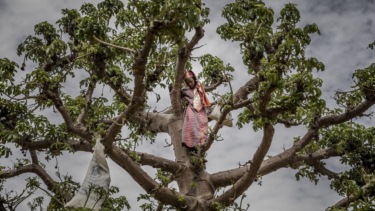 Crise économique au Niger : quand la faim domine le quotidien