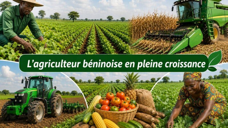 Agriculture béninoise : la révolution verte qui booste l&rsquo;économie depuis 2016