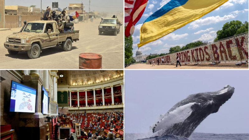 Alliance entre le Jnim et le FLA au Mali : quelles perspectives pour le pays ?