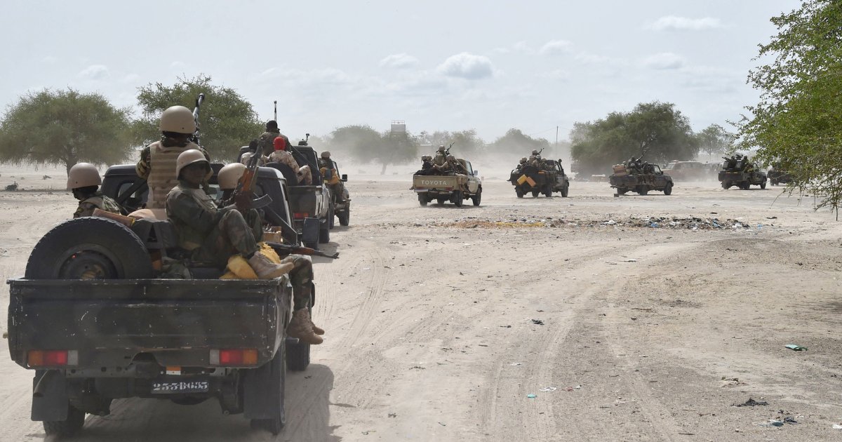 Forces armées nigériennes, lutte contre Boko Haram, lac Tchad, Nigeria