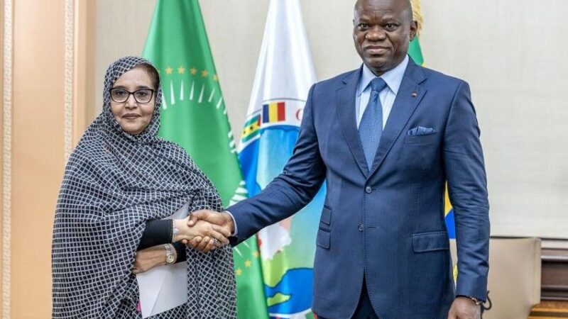 Francophonie africaine : le Gabon et la Mauritanie redessinent les équilibres