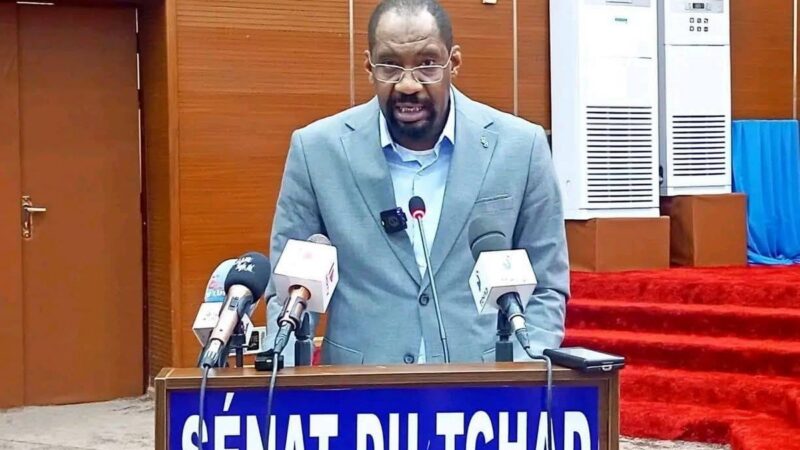 Tchad : le ministre de la Sécurité publique appelle à une mobilisation accrue contre les violences intercommunautaires