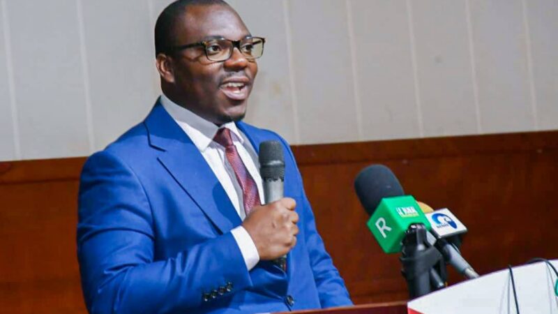Bénin : cap sur 100 000 tonnes de produits avicoles d&rsquo;ici 2033