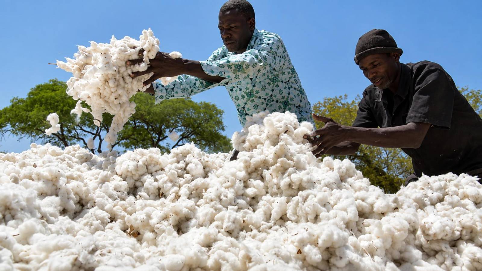 Bénin : la transformation agricole s&rsquo;accélère pour l&rsquo;autosuffisance