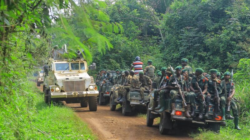 Conflit en RDC : les ADF frappent fort dans l’Ituri et le Nord-Kivu