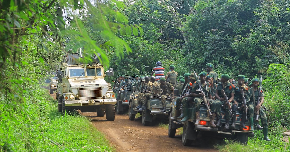 Conflit en RDC : les ADF frappent fort dans l’Ituri et le Nord-Kivu