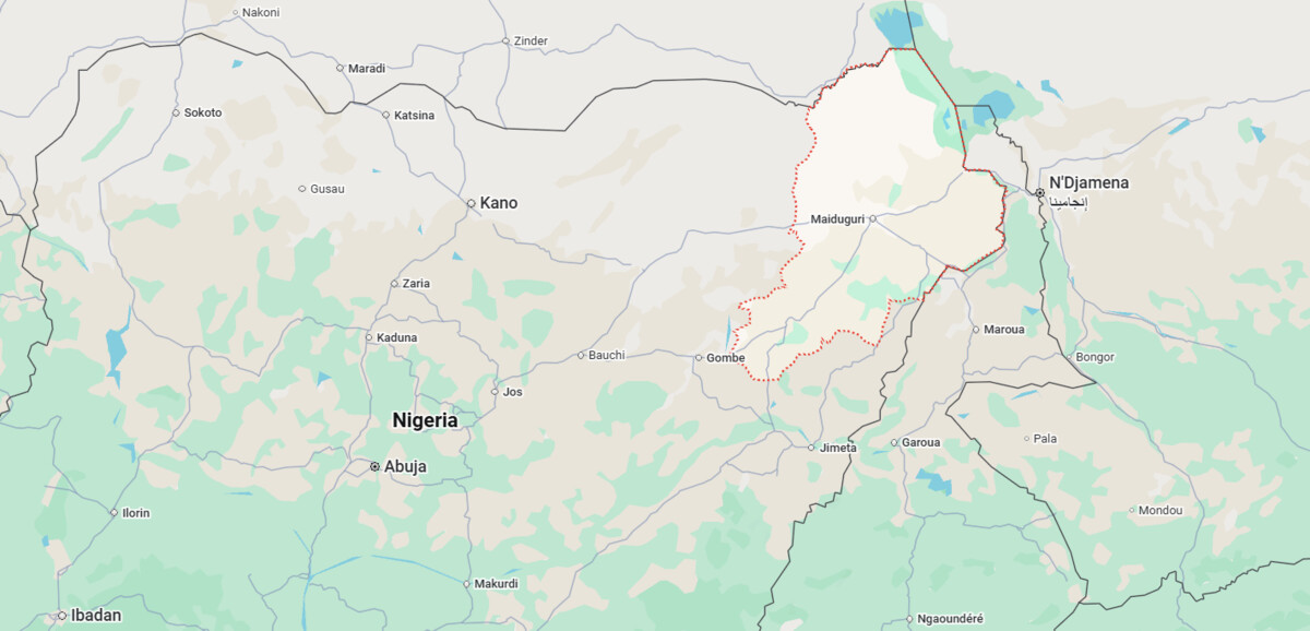 Nigeria : 416 femmes et enfants libérés par Boko Haram dans l&rsquo;État de Borno