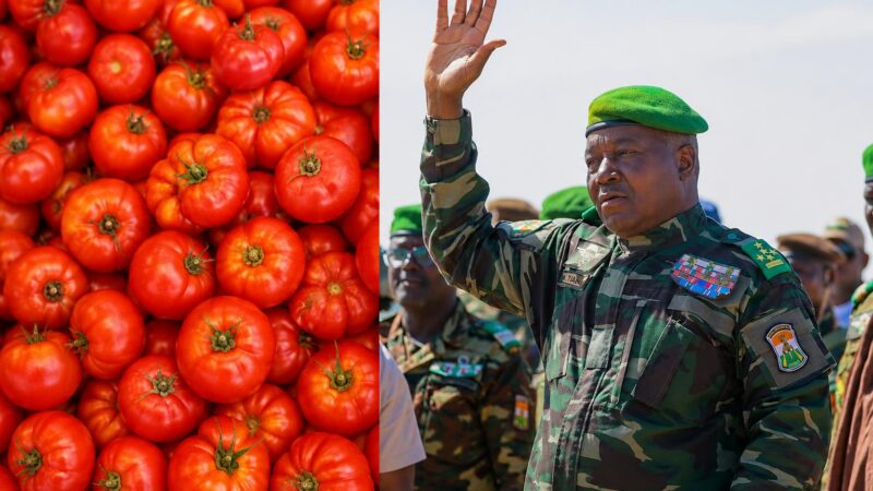 Tomates du Niger : un financement italien de 3 millions d&rsquo;euros qui interroge la souveraineté