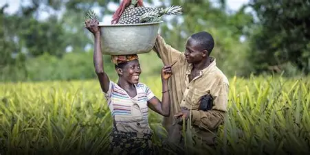 Bénin : un financement islamique de 12,57 milliards de FCFA pour la résilience agricole