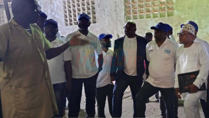 Cameroun : 35 contrôleurs de cacao formés pour garantir la qualité des exportations