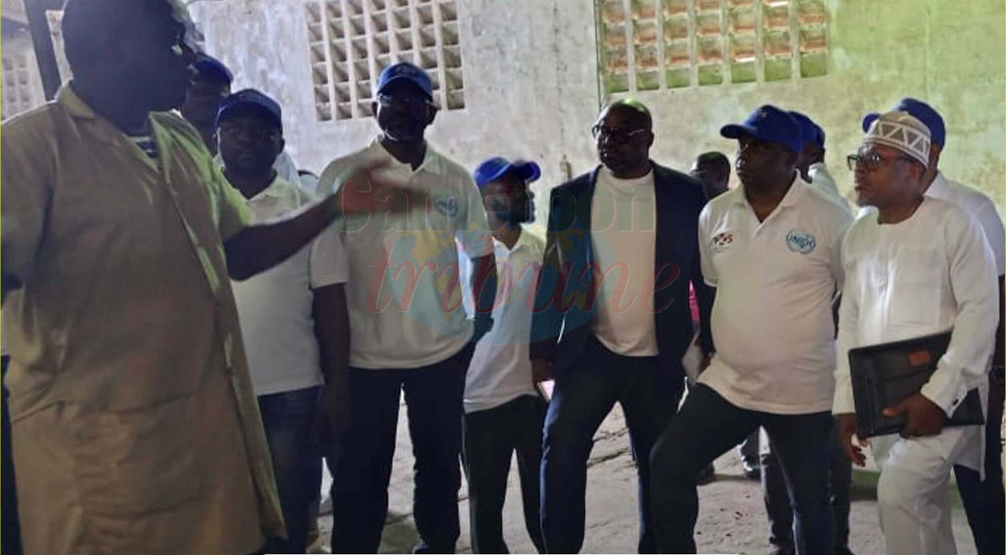 Cameroun : 35 contrôleurs de cacao formés pour garantir la qualité des exportations