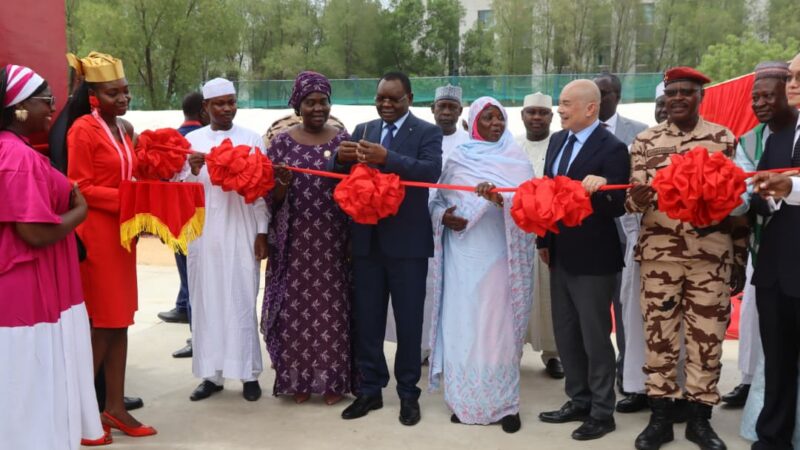 Parc de l’amitié Tchad-Chine : un projet écologique et social majeur à n’djamena