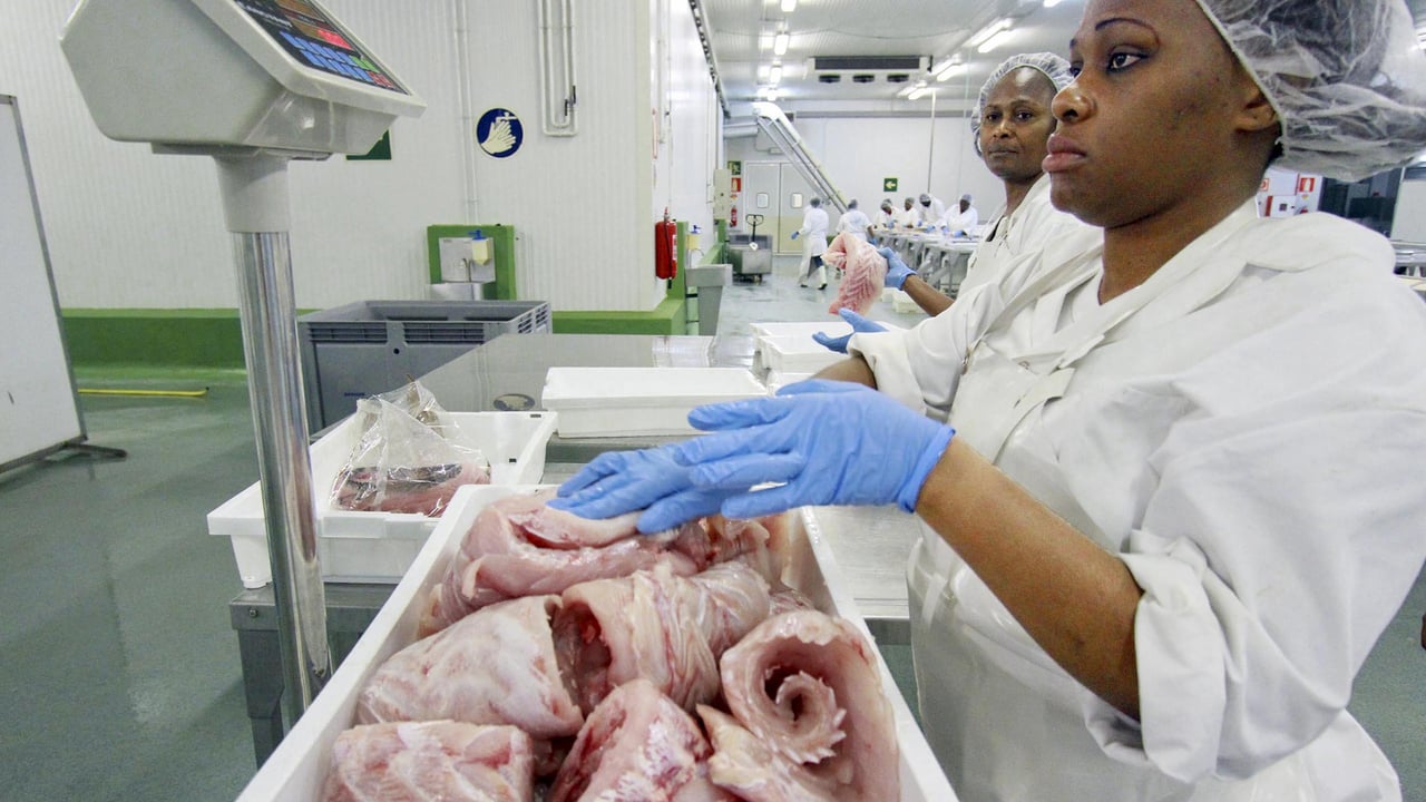 Le Gabon tourne la page de l&rsquo;accord de pêche avec l&rsquo;Union européenne