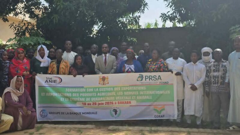 Le Tchad mise sur la formation pour booster ses exportations agricoles