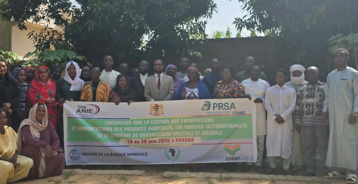 Le Tchad mise sur la formation pour booster ses exportations agricoles