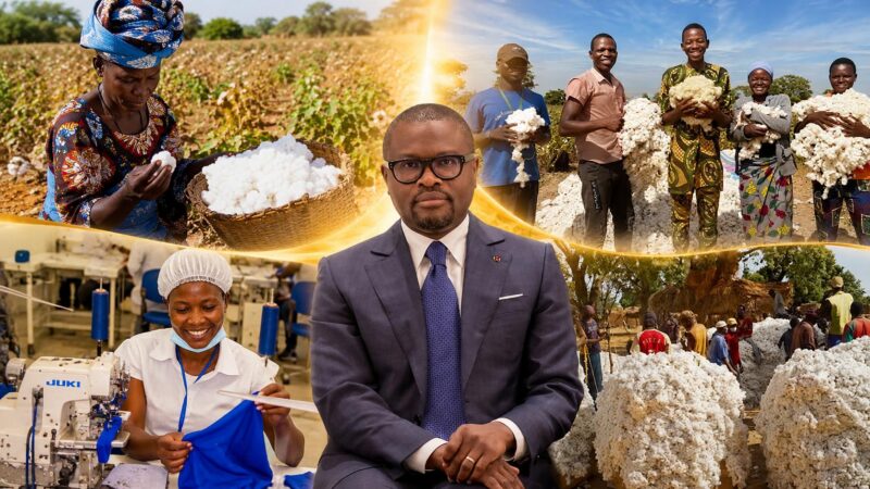 Productivité cotonnière au Bénin : une prime conditionnelle pour stimuler la performance