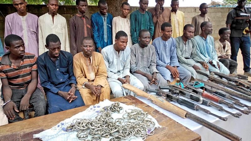 Réinsertion massive d&rsquo;ex-combattants de Boko Haram au Nigeria