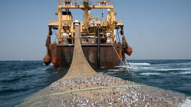 Pêche au Gabon : l&rsquo;UE prête à renégocier avec Libreville