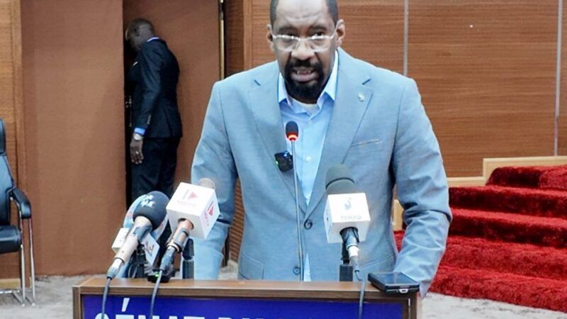 Tchad : échanges tendus entre le ministre de la Sécurité et les sénateurs sur les violences persistantes