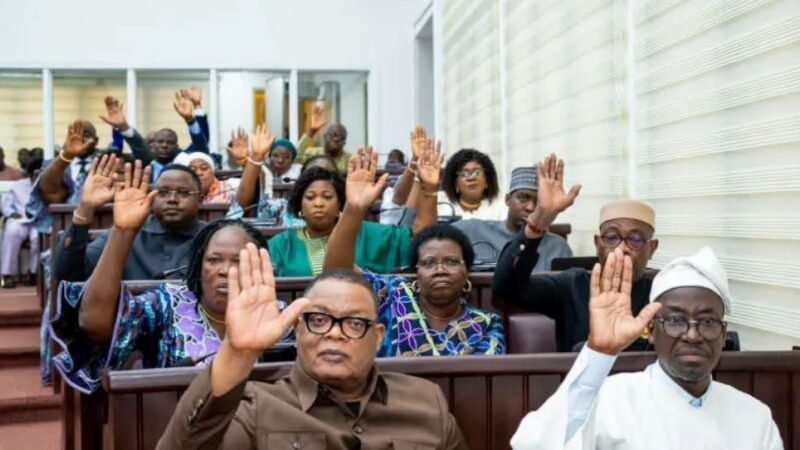 Les députés béninois en session plénière ce mercredi à Porto-Novo