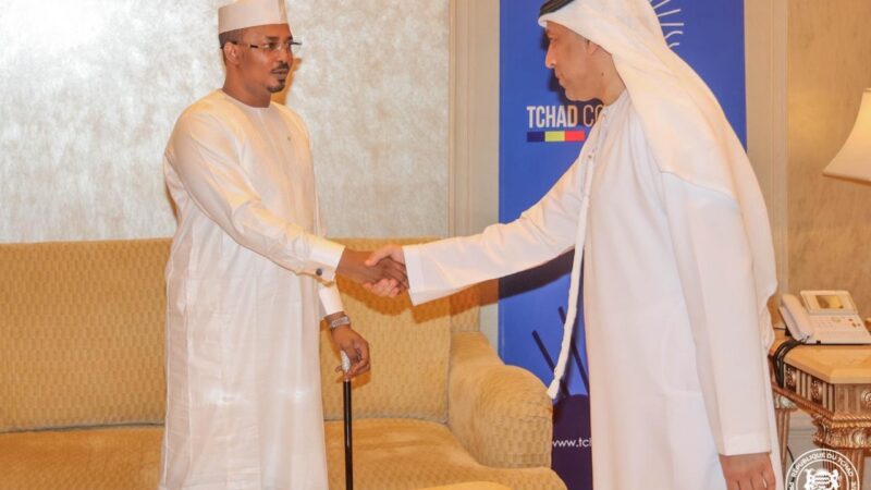 Mobilisation record au Tchad : 20,5 milliards de dollars de capitaux privés