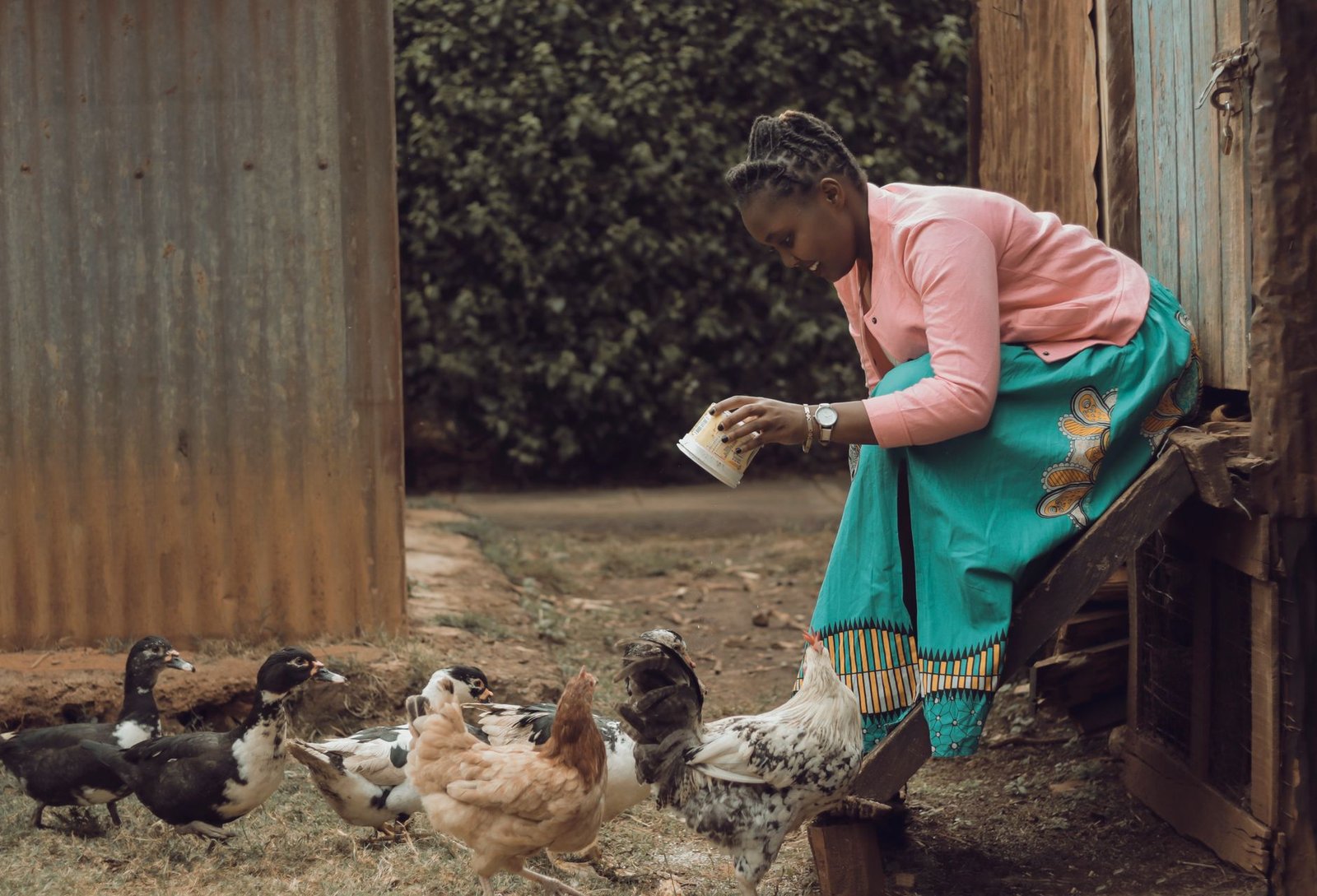 Sonoco entend produire 15 millions de poulets par an au Gabon