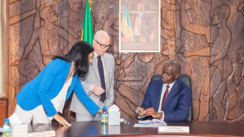 Gabon : une solution high-tech contre la fraude fiscale