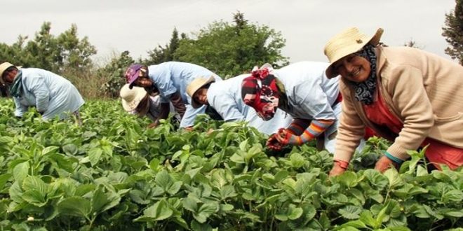 Le Maroc surclasse les attentes avec une croissance de 4,9% en 2025