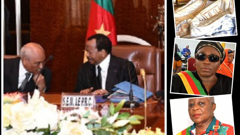 Nouveaux membres du conseil supérieur de la magistrature au Cameroun