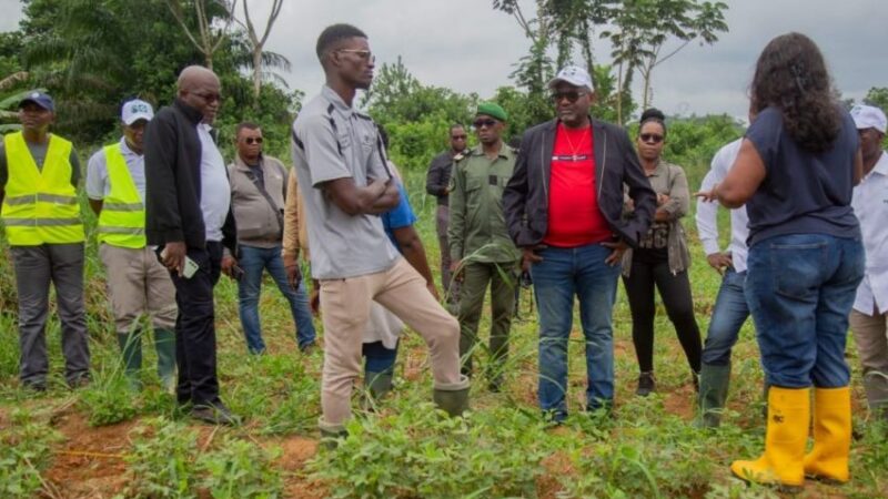 Gabon : la recherche, moteur de l&rsquo;indépendance alimentaire