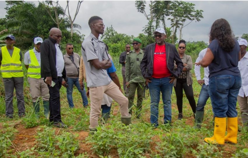 Gabon : la recherche, moteur de l&rsquo;indépendance alimentaire
