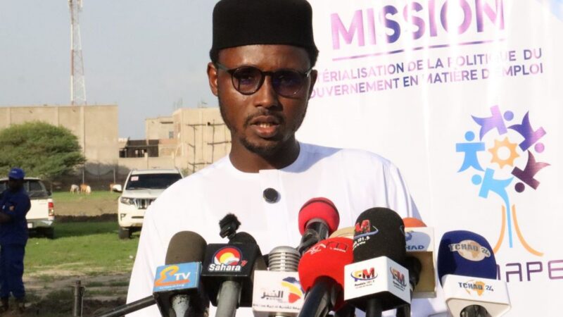 Tchad : 200 jeunes formés aux métiers verts à N&rsquo;Djamena