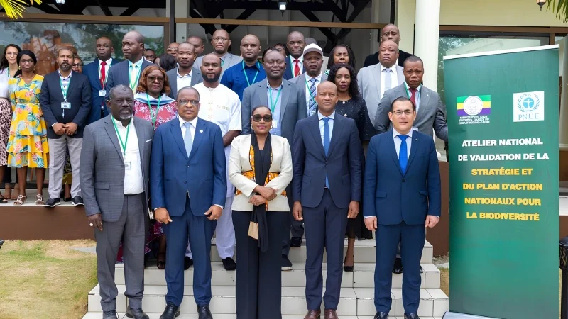 Gabon : une stratégie ambitieuse pour préserver 30 % de son territoire d&rsquo;ici 2030