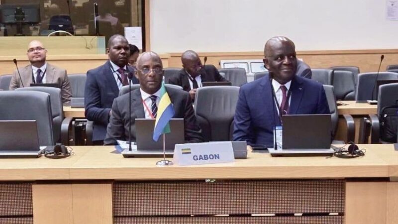 Le Gabon et la diplomatie du sud : une nouvelle stratégie internationale