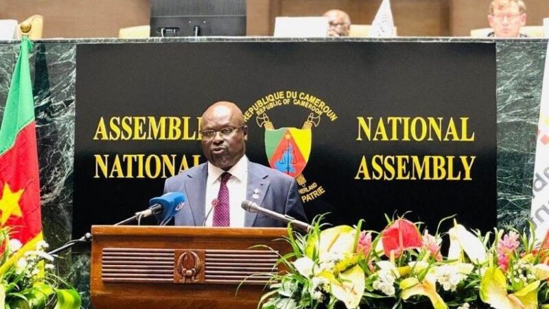 Gabon : un retour stratégique dans la francophonie parlementaire